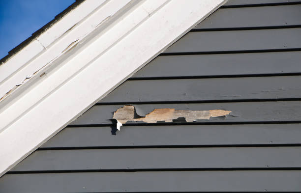 Best Steel Siding Installation  in Willards, MD